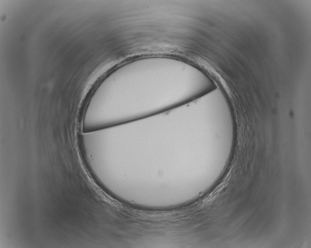 X0000067481085200605051706