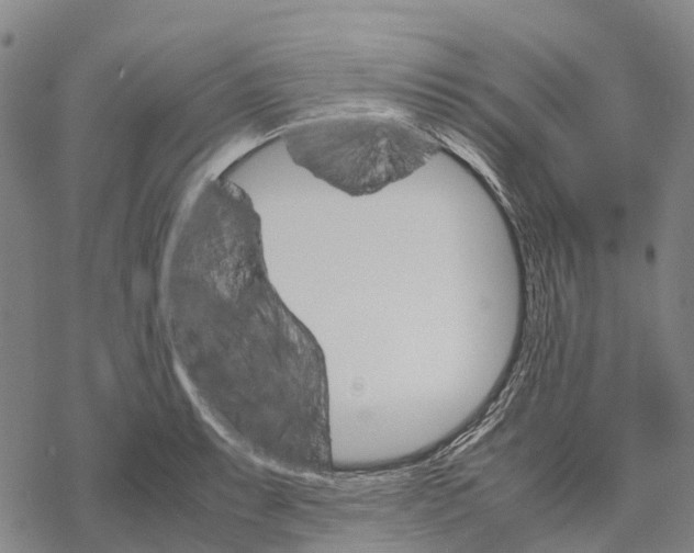 X0000067481087200605051706