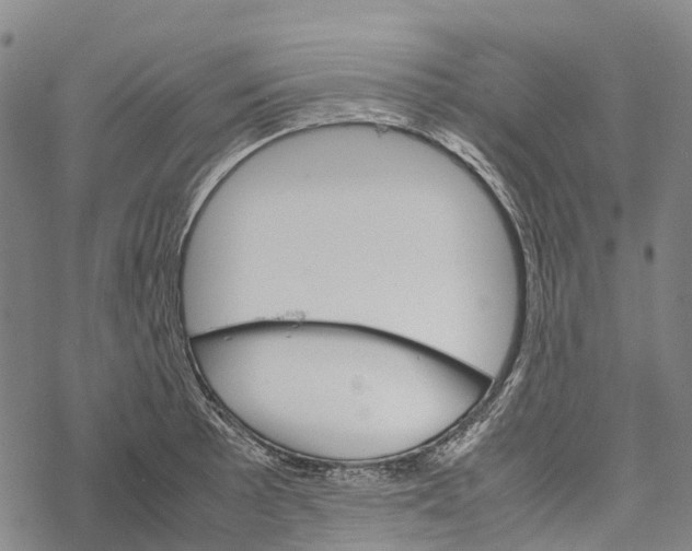 X0000067481089200605051706