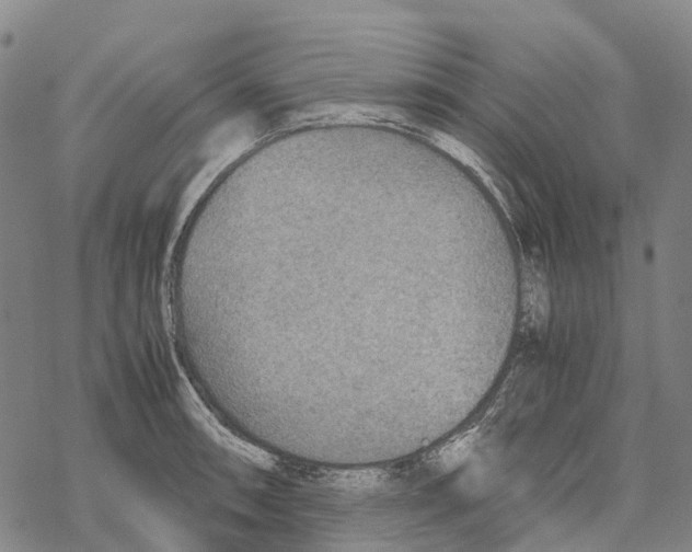 X0000067481090200605051706