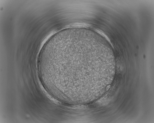 X0000067481091200605051706