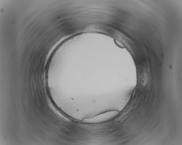 X0000067481092200605051706