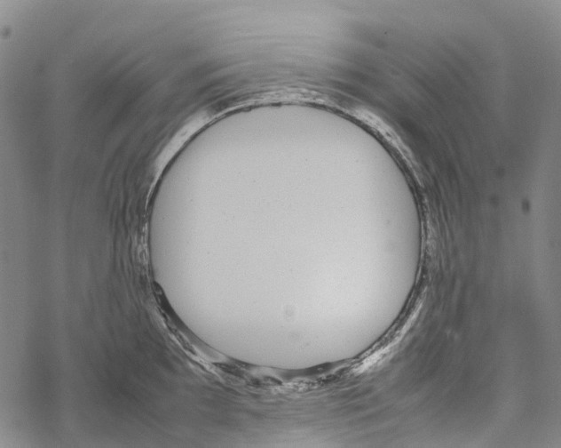 X0000067481097200605051706