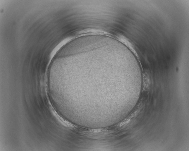 X0000067481098200605051706