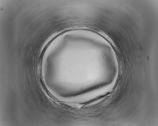 X0000067481101200605051706