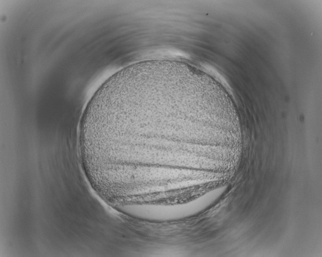 X0000067481103200605051706