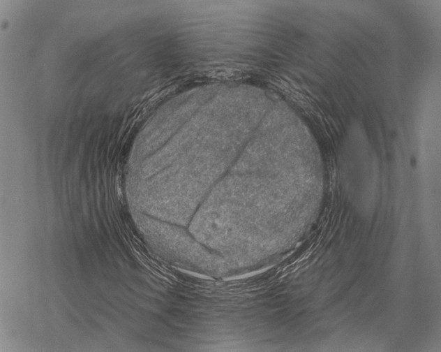 X0000067481106200605051705