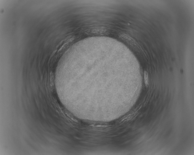 X0000067481107200605051705