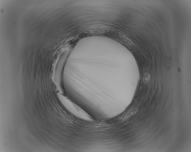 X0000067481108200605051705