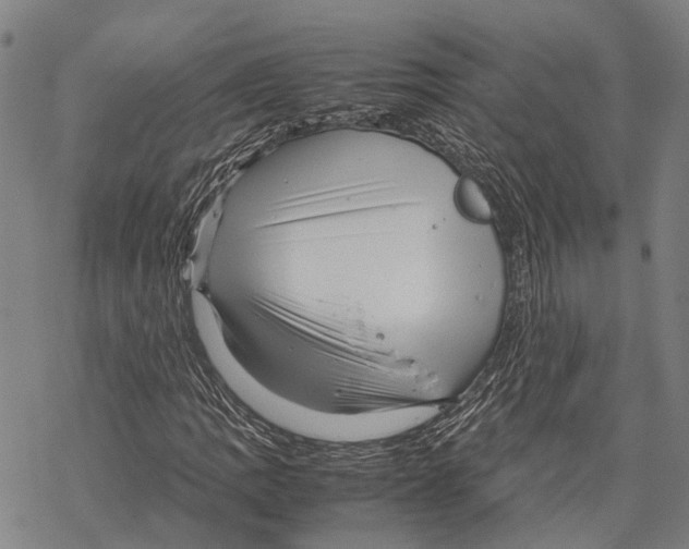 X0000067481109200605051705