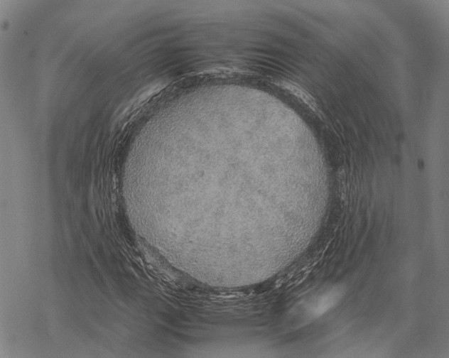 X0000067481111200605051705