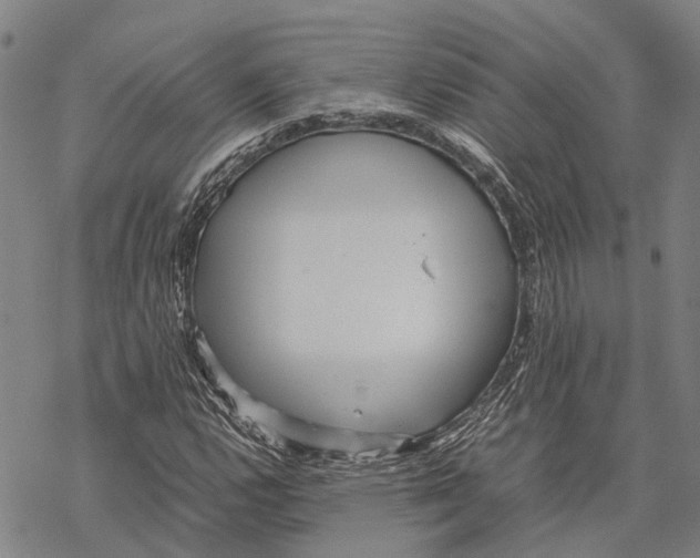 X0000067481112200605051705