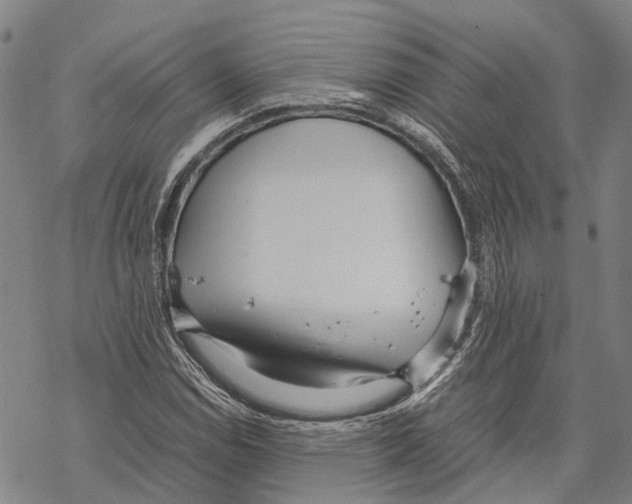 X0000067481114200605051705