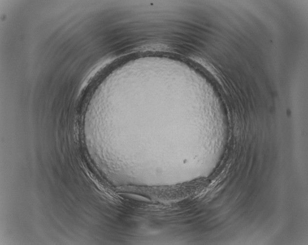 X0000067481115200605051705