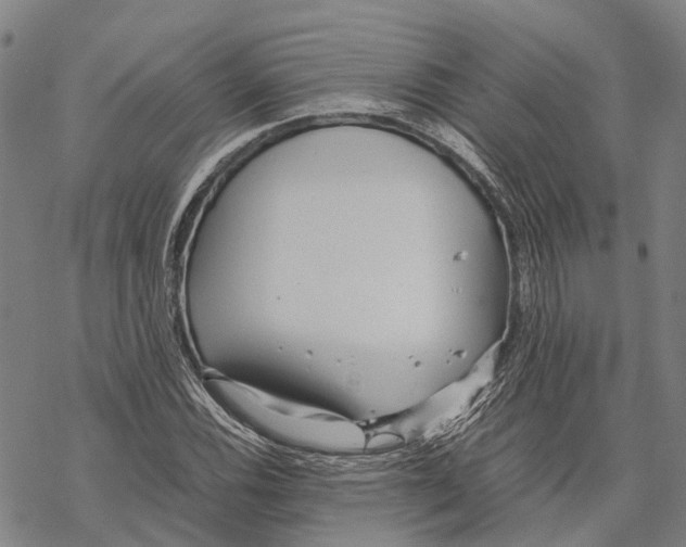 X0000067481116200605051705