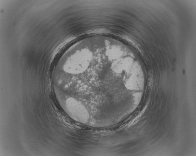 X0000067481117200605051705