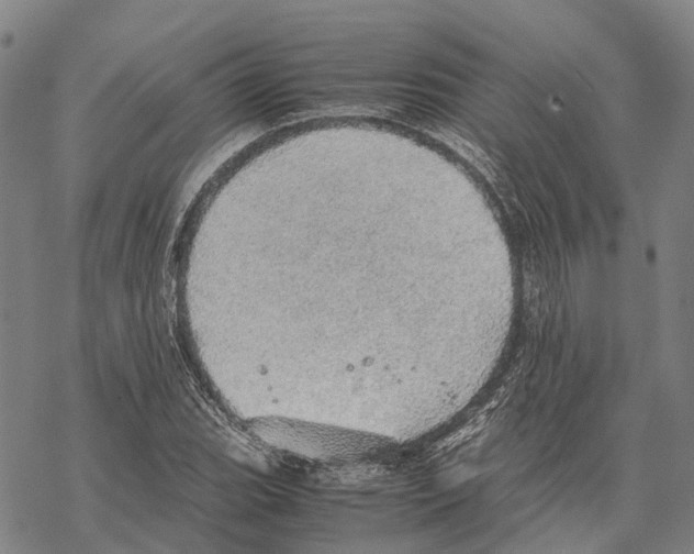 X0000067481119200605051705