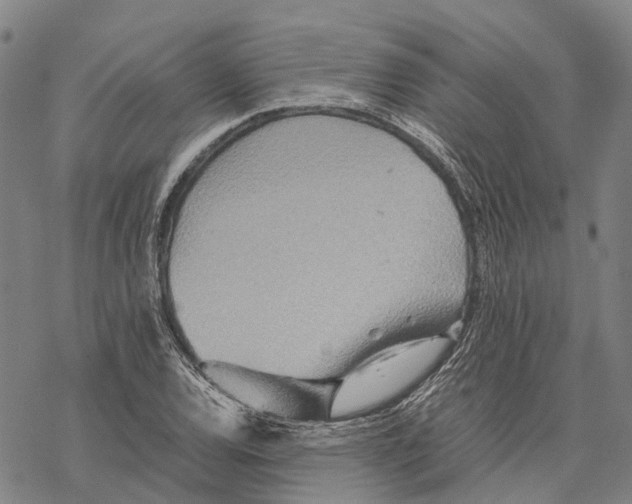 X0000067481120200605051705