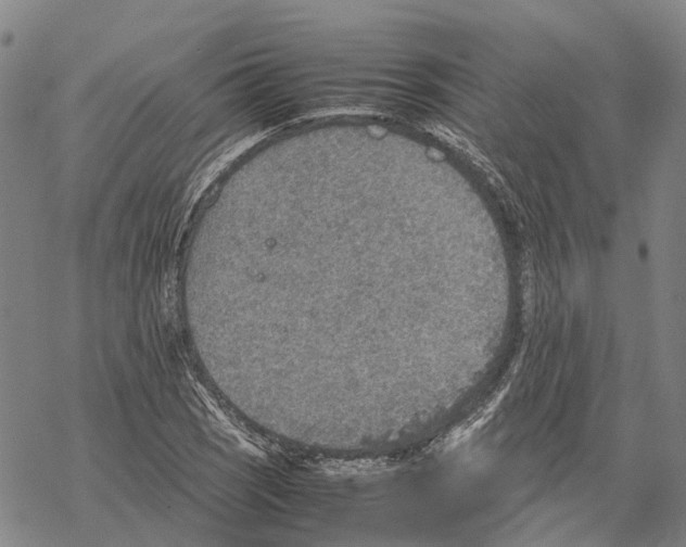 X0000067481121200605051705