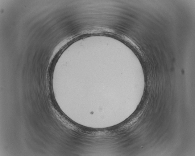 X0000067481122200605051705