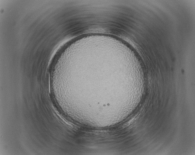 X0000067481123200605051705