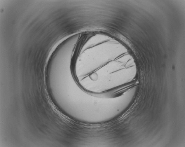 X0000067481124200605051705