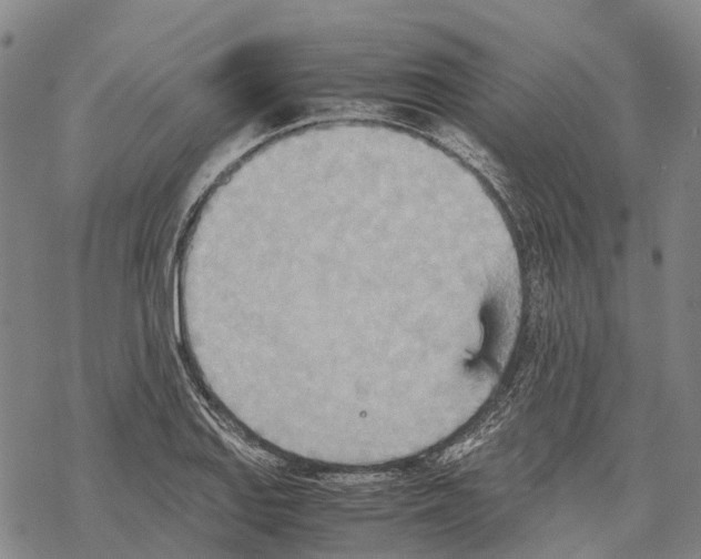 X0000067481127200605051705