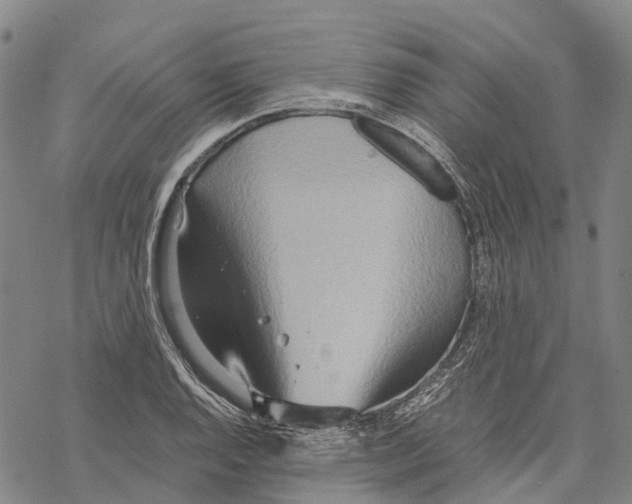 X0000067481128200605051705