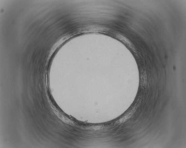 X0000067481130200605051705