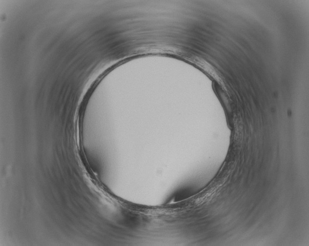 X0000067481132200605051705