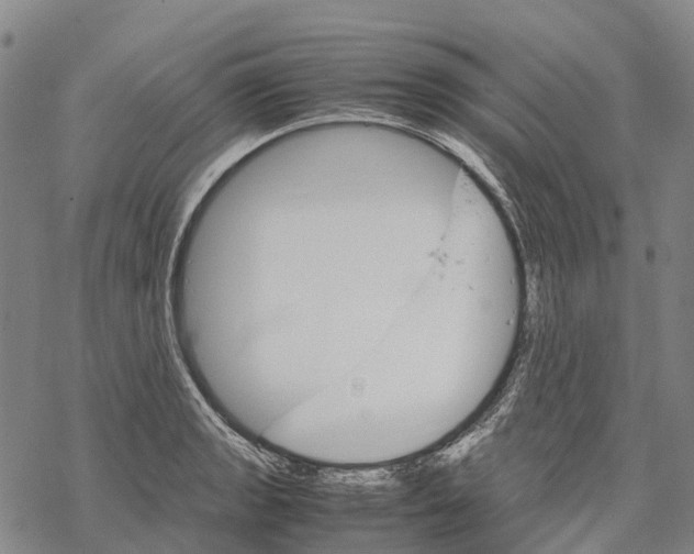 X0000067481133200605051705