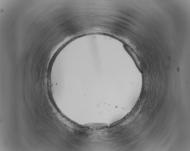 X0000067481134200605051705