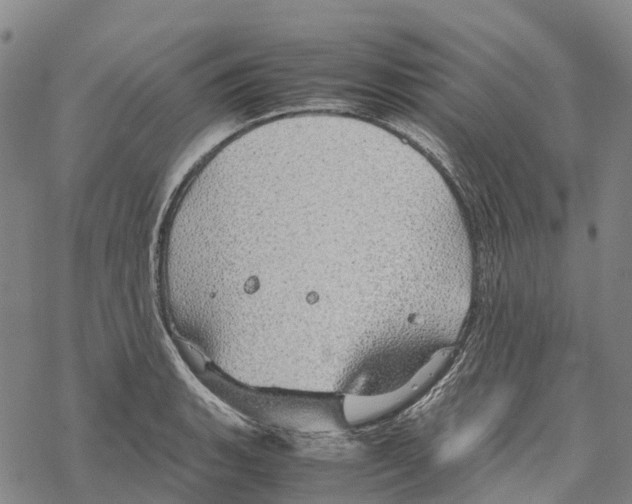 X0000067481135200605051706