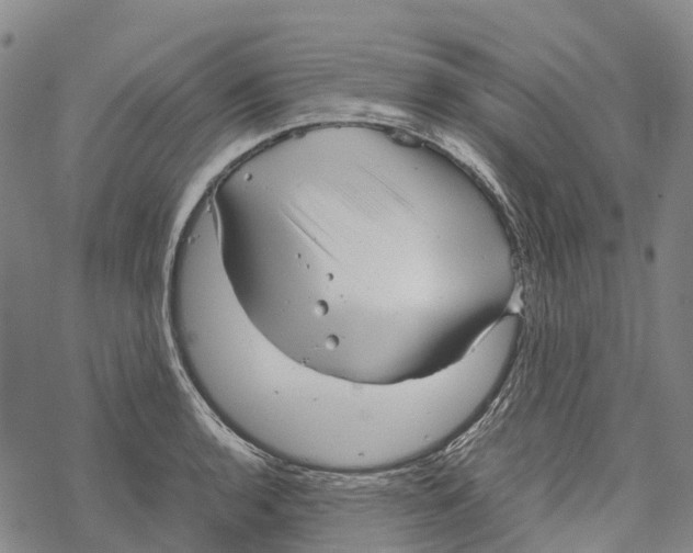 X0000067481136200605051706