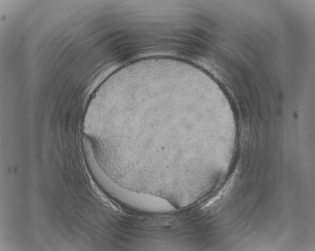 X0000067481137200605051706