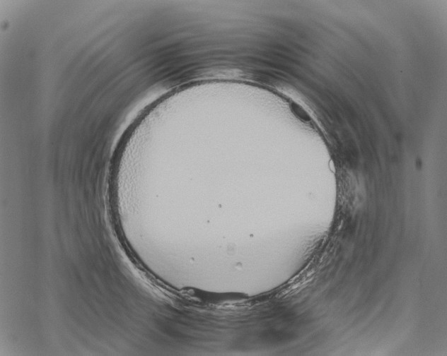 X0000067481139200605051706