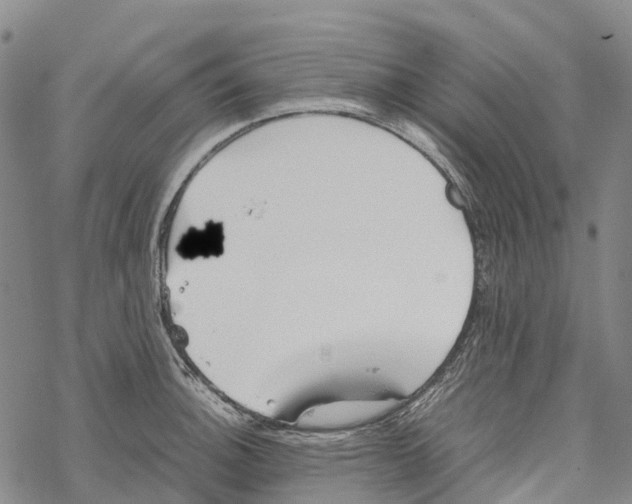 X0000067481140200605051706