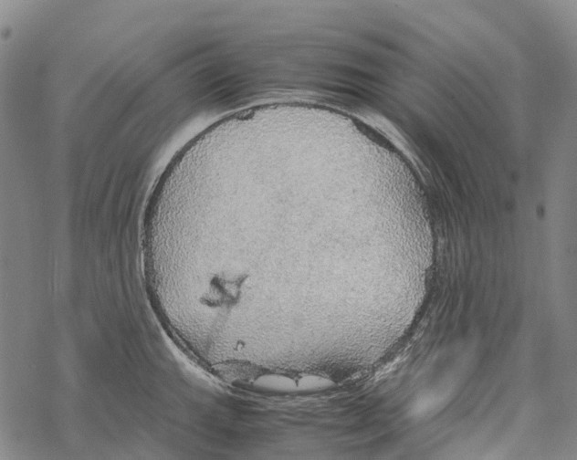 X0000067481143200605051706