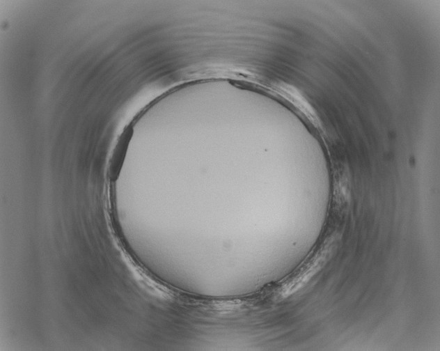 X0000067481144200605051706