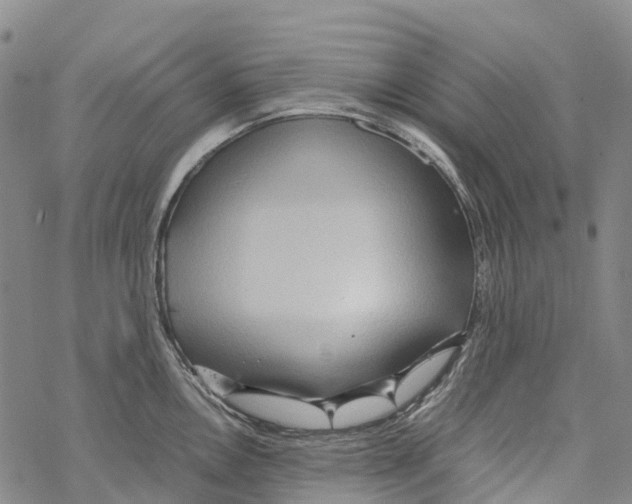 X0000067481146200605051706