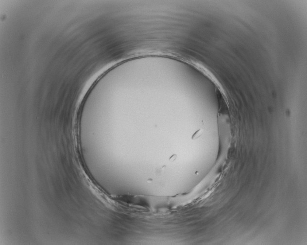 X0000067481148200605051706