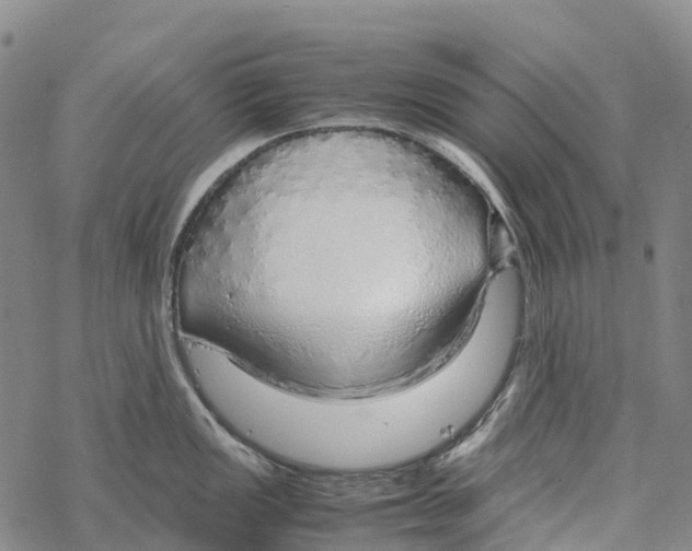 X0000067481149200605051706