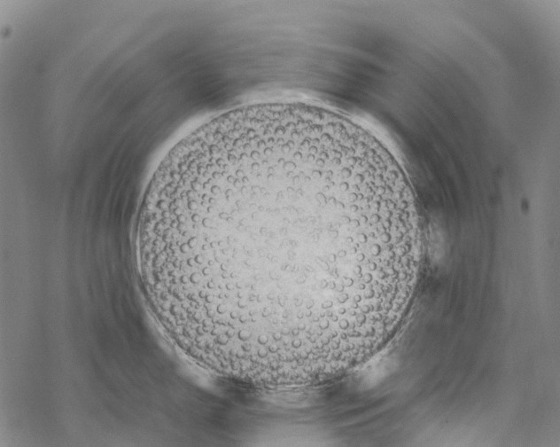 X0000067481150200605051706