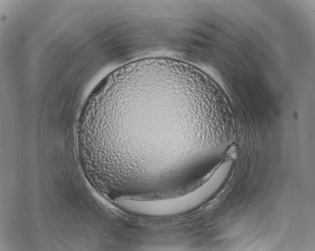 X0000067481151200605051706