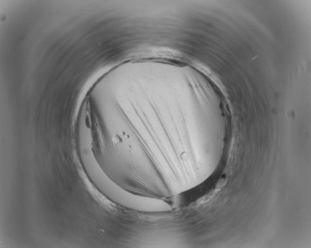 X0000067481152200605051706