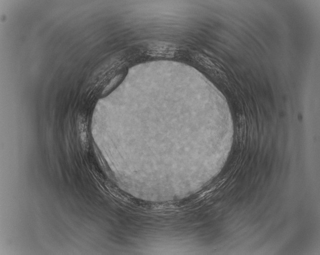 X0000067481154200605051705