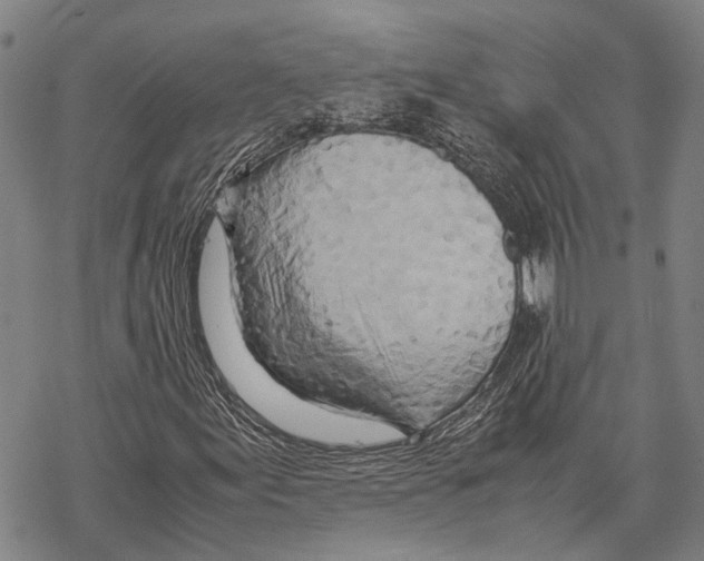 X0000067481155200605051705