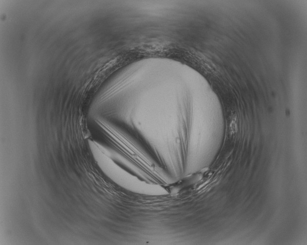 X0000067481156200605051705