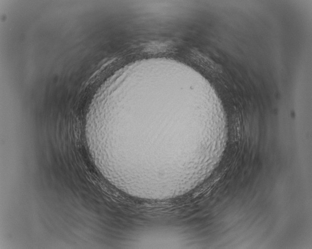 X0000067481158200605051705