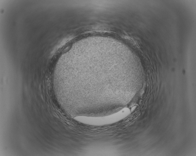 X0000067481159200605051705